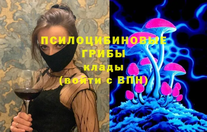 Псилоцибиновые грибы Magic Shrooms  Приволжск 